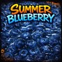 Hood Beats 🎶 - Summer blueberry