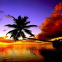 John - Island