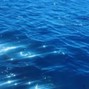 IMWAVES - DIAMOND