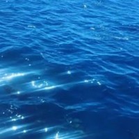 IMWAVES