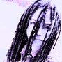 borys7190 - Che Type Beat- ov3r - C major 150BPM 