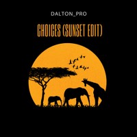 daltonprowwg