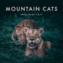 Artusion Music - Mountain cats