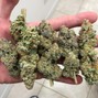 ezgscc - The Highs