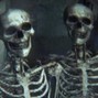 VoidDealer - SKULL