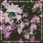 C H O I S I E S - Without You