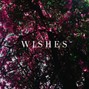C H O I S I E S - Wishes