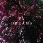 C H O I S I E S - TV Dreams