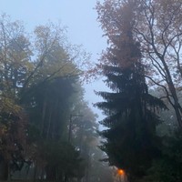 reyrunran1