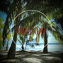 203Brando - Sunshine