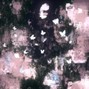 Ellis Humaine - breathe [137 D min] @ellishumaine