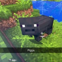 PIGGA