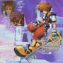 Well4K - Kingdom Hearts 