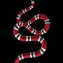 ajcookin - Snakeskin