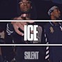 Silent The Producer - "ICE" POP SMOKE Type Beat | NY Drill Type Beat 2022