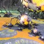 r83%?& ~ dm 4 full versions - p134_2