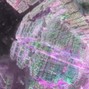 r83%?& ~ dm 4 full versions - op35356