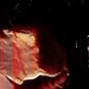 r83%?& ~ dm 4 full versions - p907c