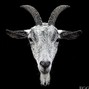 goat - FUCK SHIT