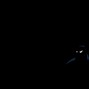 juan29lemuz - dark knigth 1 