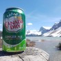 Lvl Up Suave - Ginger Ale_125bpm
