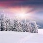 starry knight - Snowfall