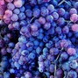 starry knight - Grapes
