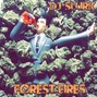 DJ Slurk - Forest Fires