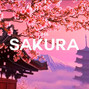 beefy808 - Sakura 1