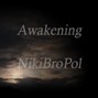 NikiBroPol - Awakening