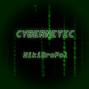 NikiBroPol - CYBERNETIC