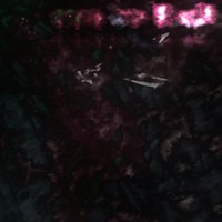 mold