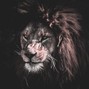 Yogi Beatz - Scar