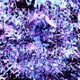Nyzhere - smokingpurple 136 bpm D minor @nyzhere_