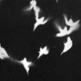 Raidxn - Genoxide | BUY ONE GET ONE FREE | (prod.Raidxn x Tengo)