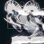 forgivemeizzah - private island (babyman, maajins) @forgivemeizzah @whoa.aloa 147 bpm