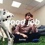 barney - good job