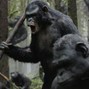 Digg Jones - Apes Outside