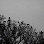 Bixotti - Blacklist.