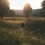 chocomeluk - greengrass