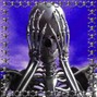 blitzar - traveller 148