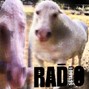5STABO1 - RAD1O