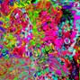 odprod.by - cbynxt