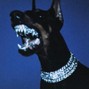 shawtyzardy - ''BLOCK''