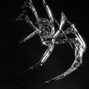 xyta - venom