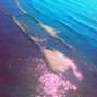prod. by sd1 - Oceanic
