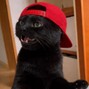 Willy Won K - WonK - Bouncy Beat "Sweet Nigg4"