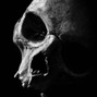 dead soul blues - shadow and fire