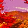 Madilla - Mello Leaves