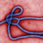 letsgo - ebola 